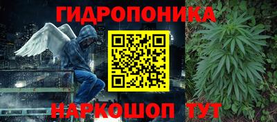 спиды Гай
