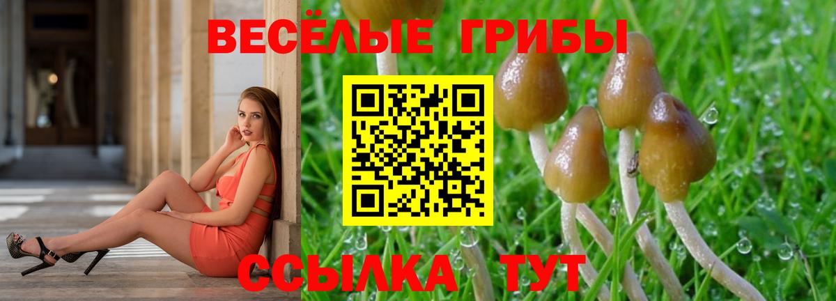 Галлюциногенные грибы Cubensis  Вход с VPN  Назарово 